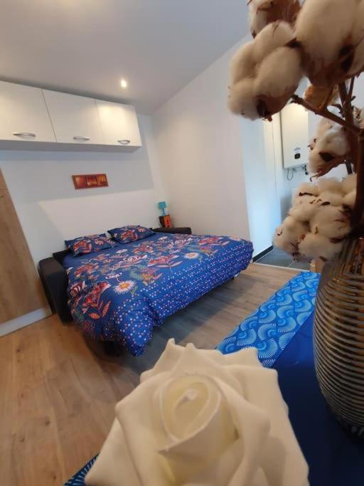 Appart'Hotel, Ikimo 5 Appartements Entiers A Votre Disposition Au Choix Nancy Exterior photo
